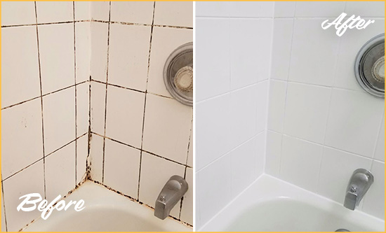 Before and After Picture of a Troy Shower Tile and Grout Cleaned to Eliminate Mold