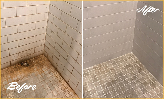 Before and After Picture of a Mount Clemens Shower Tile and Grout Cleaned to Eliminate Mold and Stains