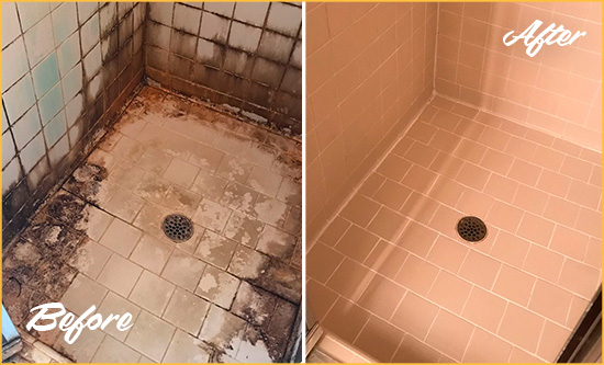 Before and After Picture of a New Baltimore Shower Tile and Grout Cleaned to Repair Water Damage