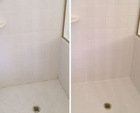 Shower Before and After a Grout Cleaning in Washington Township, MI