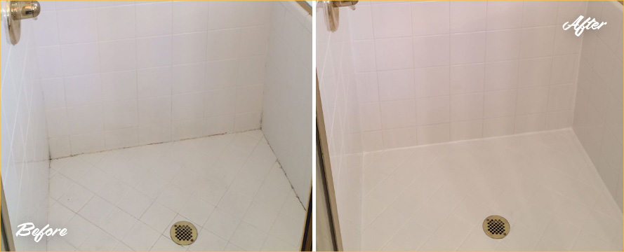Shower Before and After a Superb Grout Cleaning in Washington Township, MI