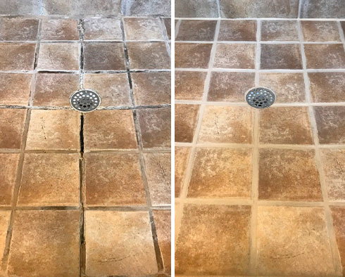 Shower Before and After a Grout Sealing in Macomb, MI